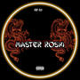 Master Roshi (Explicit)