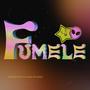 Fumele (feat. La Casa Del Humo) [Explicit]