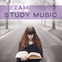 Exam Study Music: Train Your Brain With Famous Classical Composers