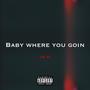 Baby Where You Goin (Explicit)