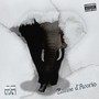 ZANNE D'AVORIO (Explicit)