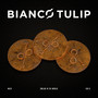 bianco tulip