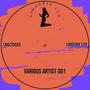 Lingerie LTD Various Artist 001