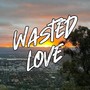 Wasted Love (feat. Sanya Kay)