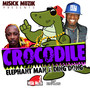 Crocodile - Single