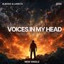 Voices in my head