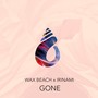 Gone (feat. Irinami)