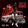 Life Is Fake (Explicit)