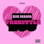 Big Mama Freestyle (Explicit)