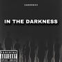 IN THE DARKNESS (Explicit)