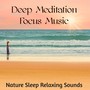 Deep Meditation Focus Music - Nature Sleep Relaxing Sounds to Improve Concentration and Chakra Healing