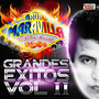 Grandes Exitos, Vol. 2