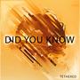 Did You Know (Radio Edit)
