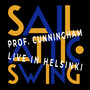 Professor Cunningham swings Helsinki: Live at Sail Attic Swing