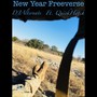 New Year Freeverse (feat. Quickhatch)