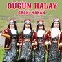 Düğün Halay