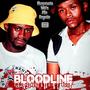 BloodLine (feat. Kritikal Life & Kayotic) [Explicit]