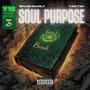 Soul Purpose (Book 3) [Explicit]