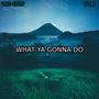 What Ya Gonna Do (feat. DTM)