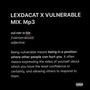 VULNERABLE MIX (Explicit)