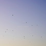 Luh (Misc.Inc Remix)