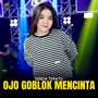 Ojo Goblok Mencinta (Explicit)