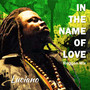 In the Name of Love (Reggae Mix)