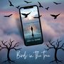 Birds in the trees (Explicit)