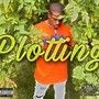 Plotting (Explicit)