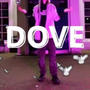 DOVE (feat. CSIDEBOYZ)