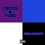 Catch A Vibe (Explicit)