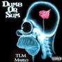 Dumb Or Sum (Explicit)