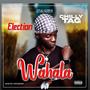 Election Wahala (Explicit)