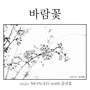 바람꽃