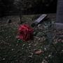 To The Grave