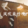 风吹来呼唤