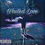 Wasted Love (Explicit)