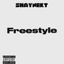 Freestyle (Special Version) [Explicit]