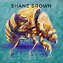 Cicada (Explicit)