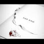 CLOSED CHAPTER (Explicit)