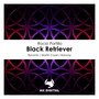 Black Retriever (Martin Cozar Remix)