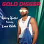 Gold Digger (feat. Luna kiddo)