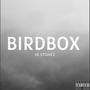 Birdbox (Explicit)
