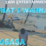 What I Wanna Do (Explicit)