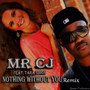 Nothing Without You (Remix) [feat. Tara Simon]