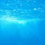 Ils vivaient sous l'eau