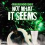 not what it seems (Explicit)