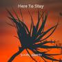 Here To Stay
