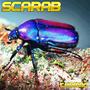 scarab