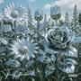 The Garden (Explicit)